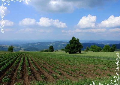 rajac-planina-sumadija